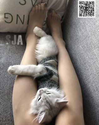 欧美风街拍壁纸_720免费播放
